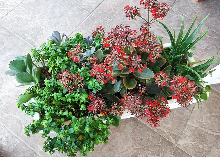 Appartement Lida Rogoznica (Sibenik-Knin)